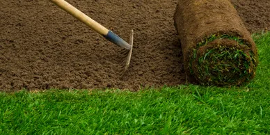 Sod installation