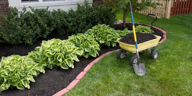 Planting
